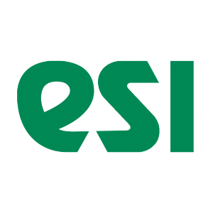 ESI Technology Ltd logo