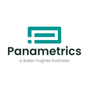 Panametrics LLC logo