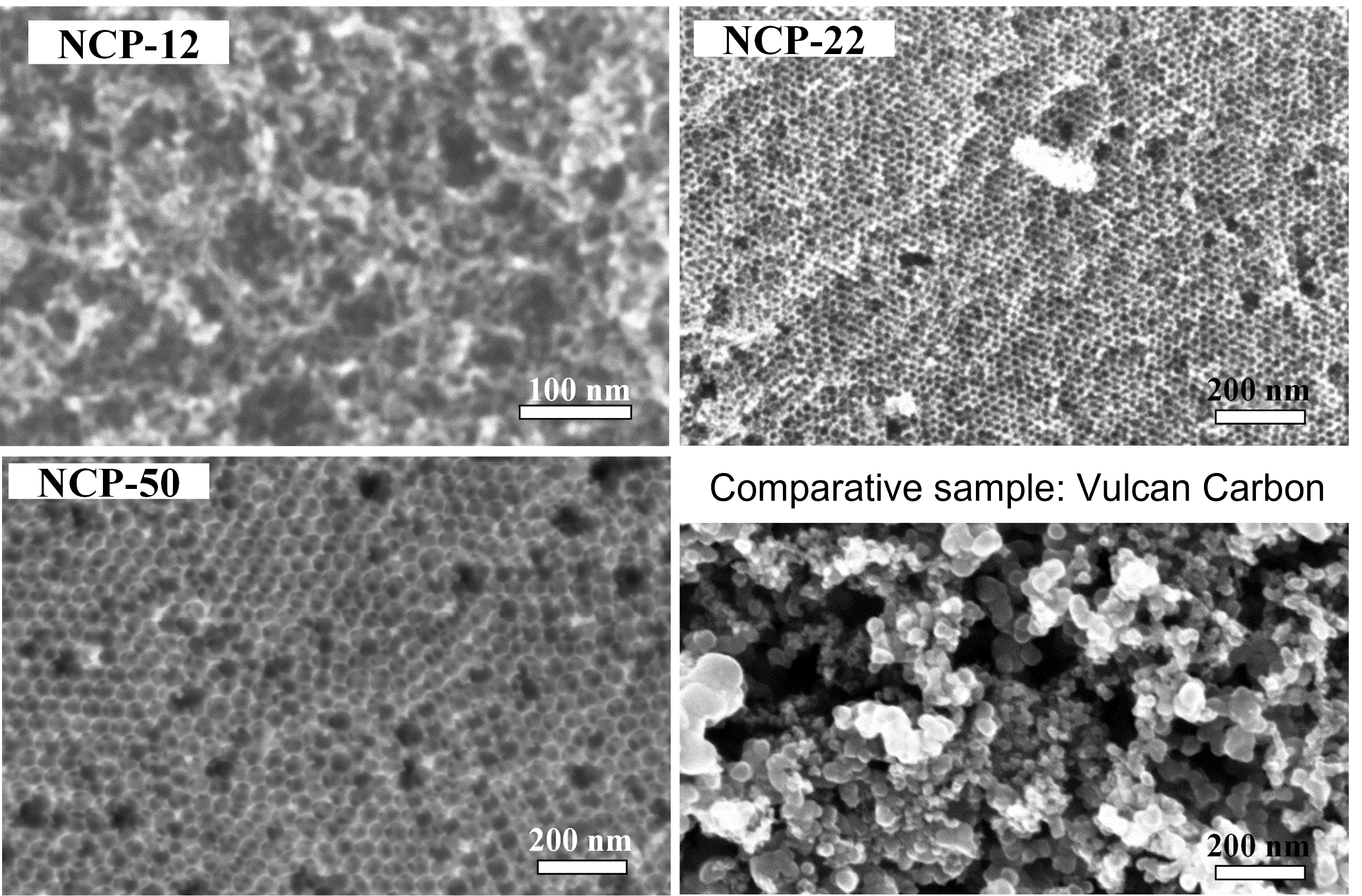 catalyst support for fuel cells - microscopic