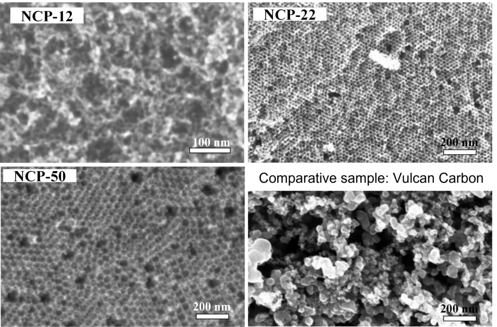 Polvo de carbono nanoporoso - Nivel microscópico