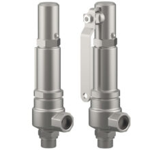 Safety valve with sealing plate - 06810