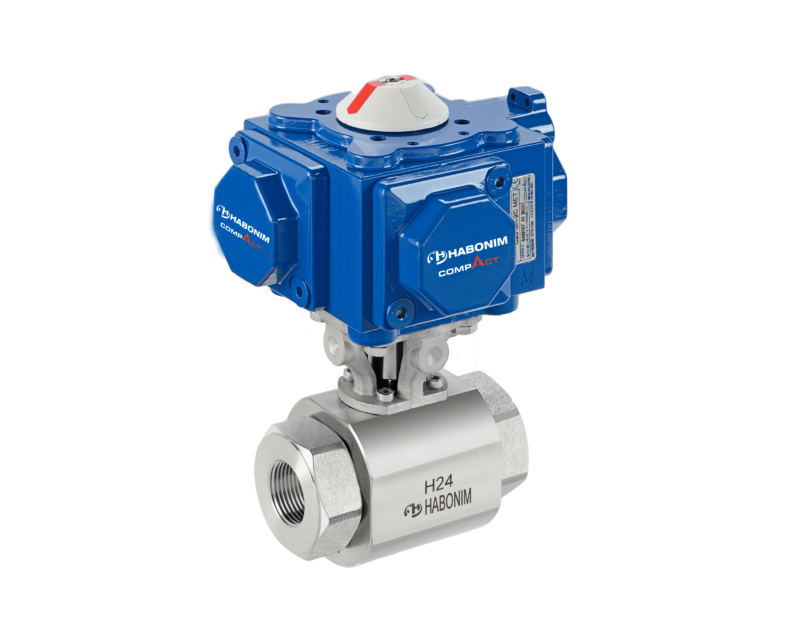 Hydrogen Service Ball Valves H24